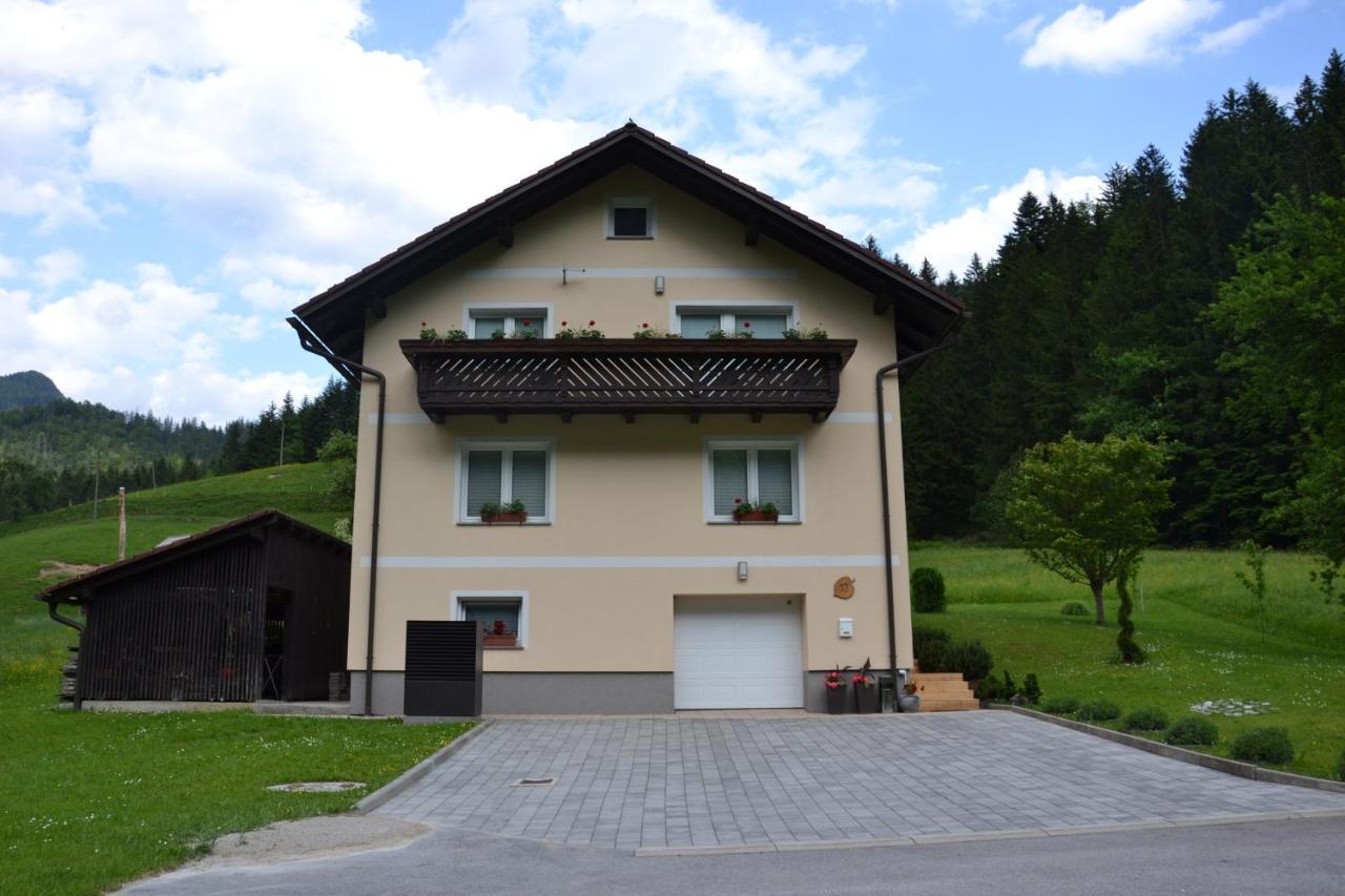 Apartma Ob Potoku Luče Buitenkant foto