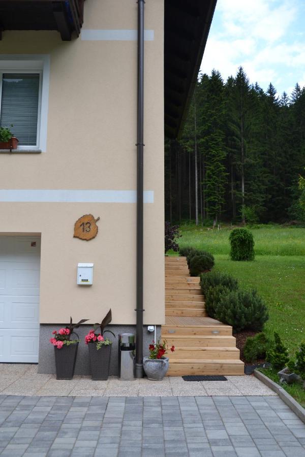 Apartma Ob Potoku Luče Buitenkant foto